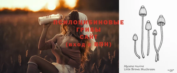 прущий лед Армянск